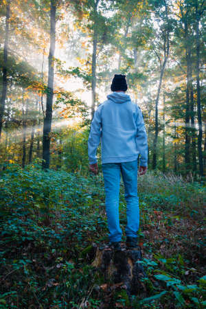 Young caucasian man standing on stump in casual clothes. Autumn colorful foliage forest at sunrise...