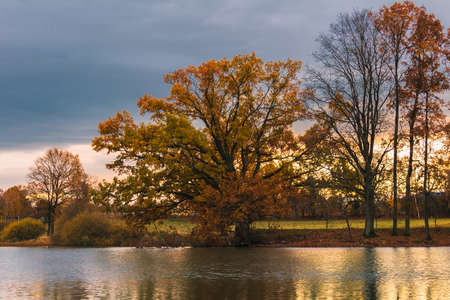 Autumn foliage trees refelction on pond with dramatic sunset sky. Czech landscape