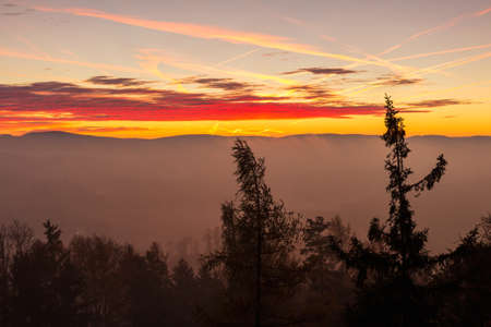 Autumn czech landscape with misty fog and trees silhouette before morning sunrise. View from...