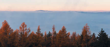 Autumn czech landscape with misty fog, distant mountain and trees at morning sunrise. View from watchtower in village Hradiste, blue hourの写真素材