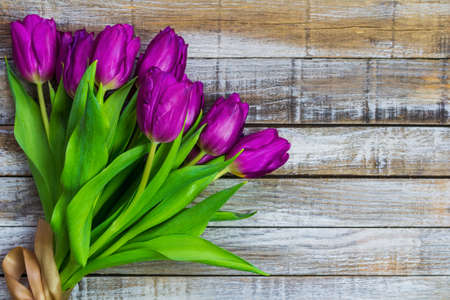 Purple tulip, liliaceae on rustic desk. Cut flower bouquet on wood backgroundの写真素材