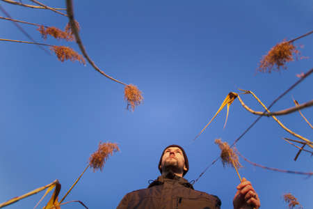 Young caucasian man in casual clothes walking in high dry grass. Bottom angle photoの写真素材