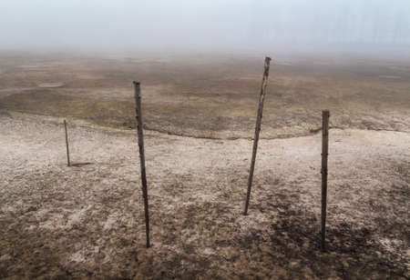 Wooden stick in sand dry pond ground under misty fog. Apocalyptic, horror, tranquil czech landscapeの写真素材