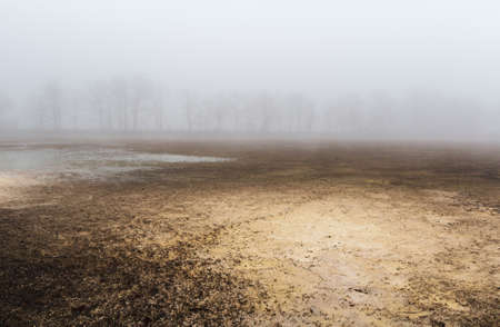 Dry sand texture on released pond ground in misty fog. Czech landscapeの写真素材