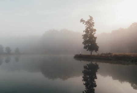 Young man in white hoodie standing on grass headland with lonely tree at morning misty fog. Tranquil...
