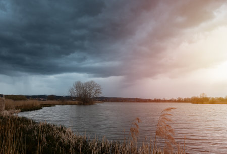 Bare tree on pond shore with tall dry grass under dramatic storm sky with sun. Czech early spring landscapeの写真素材
