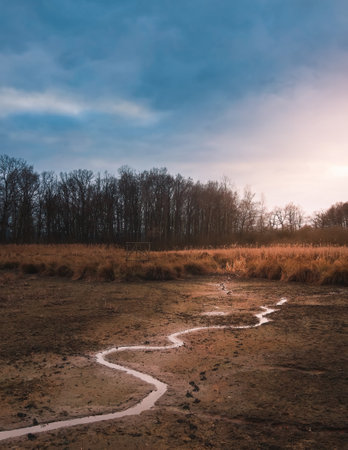 Dry pond with small stream at sunset. Czech tranquil landscapeの写真素材