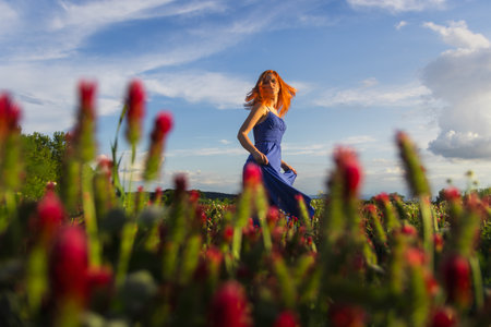 Portrait of young woman in blue dress running around in crimson clover fieldの写真素材