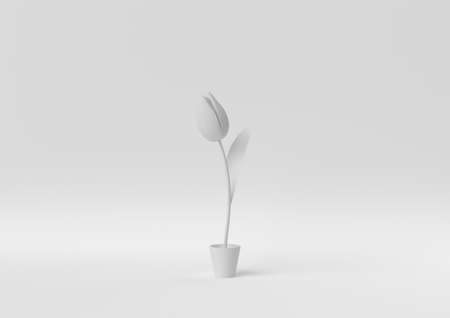 Creative minimal paper idea. Concept white flower with white background. 3d render, 3d illustration.の写真素材