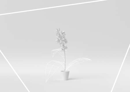 Creative minimal paper idea. Concept white flower with white background. 3d render, 3d illustration.の写真素材
