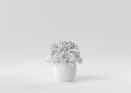 White Tree pot in white background. minimal concept idea creative. monochrome. 3D render.の写真素材