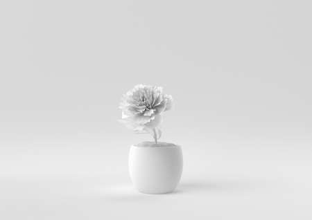 White Tree pot in white background. minimal concept idea creative. monochrome. 3D render.の写真素材
