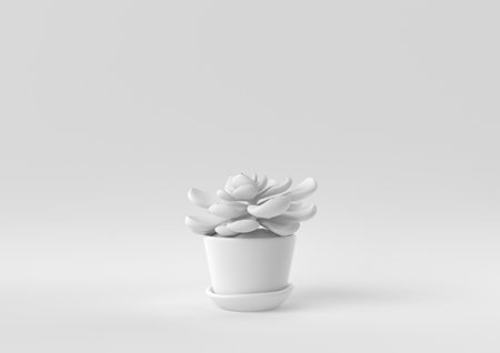 White Tree pot in white background. minimal concept idea creative. monochrome. 3D render.の写真素材