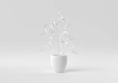 White Tree pot in white background. minimal concept idea creative. monochrome. 3D render.の写真素材