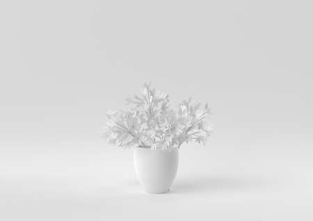 White Tree pot in white background. minimal concept idea creative. monochrome. 3D render.の写真素材