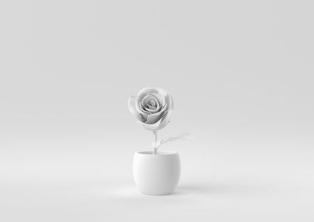 White Tree pot in white background. minimal concept idea creative. monochrome. 3D render.の写真素材