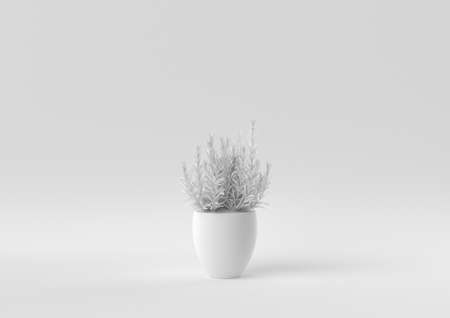 White Tree pot in white background. minimal concept idea creative. monochrome. 3D render.の写真素材