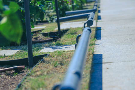 Promenade of the garden Nakanoshima Parkの写真素材
