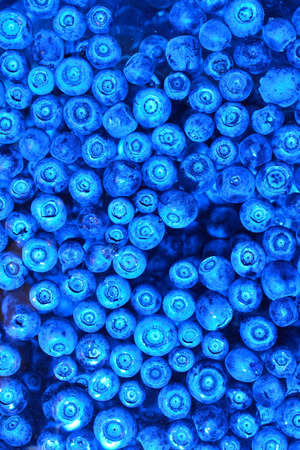 blueberriesの写真素材