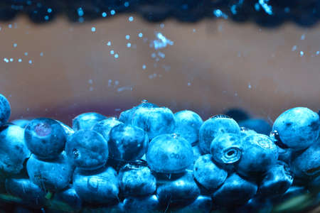 blueberriesの写真素材