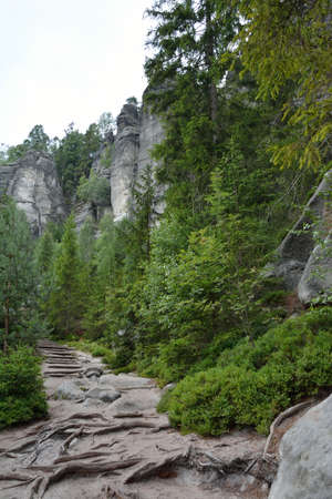 backgroundの写真素材