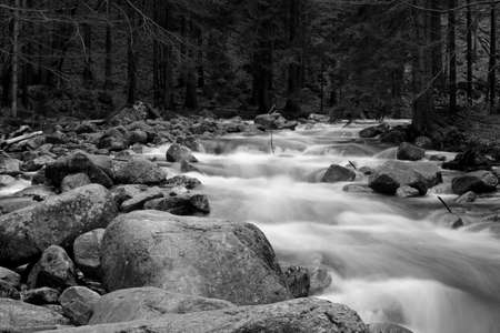 Riverの写真素材