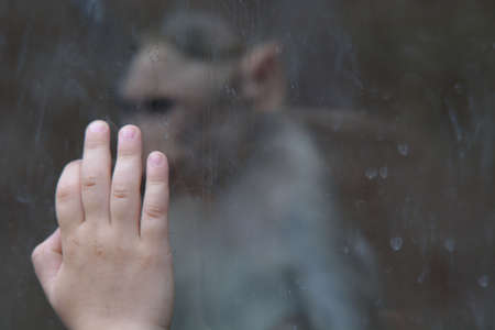 Child's hand on glassの写真素材