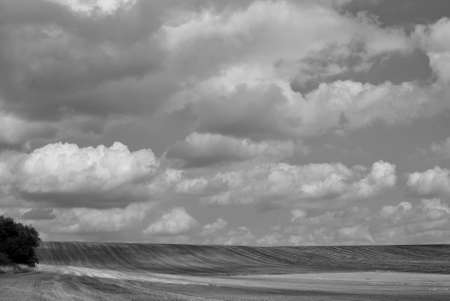 Black and white fieldの写真素材