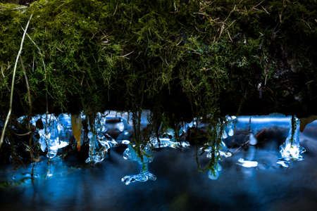 ice on a log closeup photoの写真素材