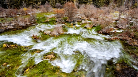 flowing streamの写真素材