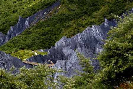 Eight Mexican Stone Forestの写真素材