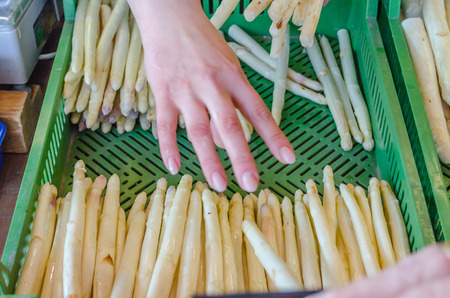 Harvest Fresh white asparagus on offer directly from the producer の写真素材