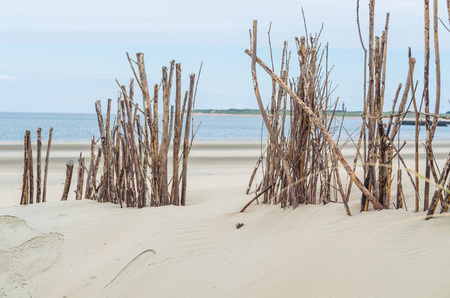 Sunny beach with sand dunes and blue sky seagrass.の写真素材