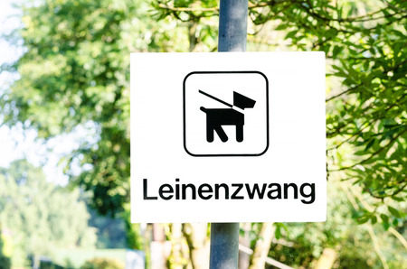 Bid sign dog on leash sign inscription leash.の写真素材