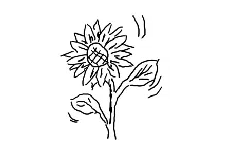 Simple hand drawing a flower, cartoon or line drawing. Flower against a white background.の写真素材