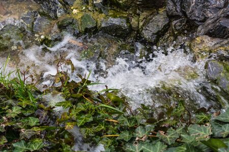 Small waterfall, cascade flowing over mossy boulders in a botanical garden.