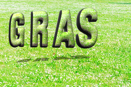 The word grass in green grass structure in 3D with shadows on a summer meadow as background.の写真素材