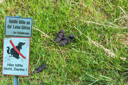 Dog feces on a meadow next to a sign with lettering in German No Dog Popping