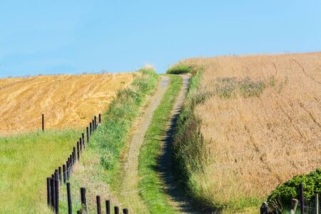 Lonely dirt track in the summer through a meadow and cornfield.