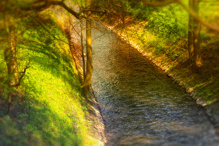Watercourse, brook in the misty autumn forest with backlight, sunbeamsの写真素材