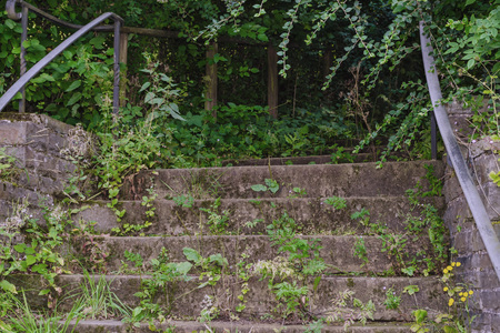 An old stone stair with railing surrounded with vegetationの写真素材