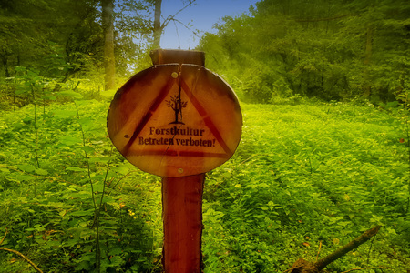 Round wooden sign with inscription in german - Forest culture Enter forbiddenSunbeams in the background. Lens flare desirable. Intentional blur.の写真素材
