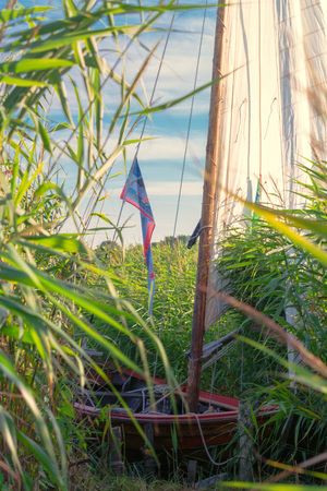 Wooden boat on the shore of a lake in the reeds