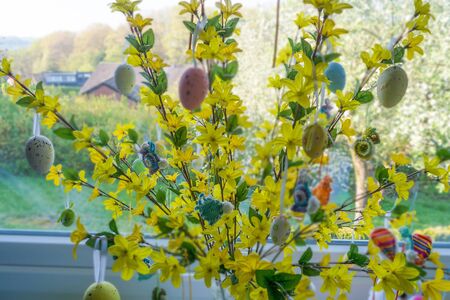 Colored Easter eggs standing on a forsythia bush in a vase in front of a window. Blur background