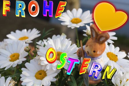 Daisies for Easter with a little Easter bunny
の写真素材