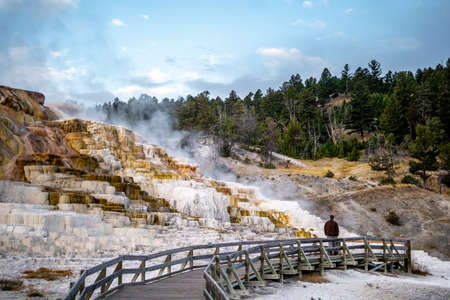 The landscape nature around Mammoth hot springs in Yellowstone national park in Wyoming , United States of America  - September 14 , 2018のeditorial素材