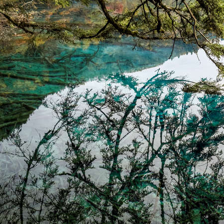 Jiuzhaigou, the China National Park, in autumn.の写真素材