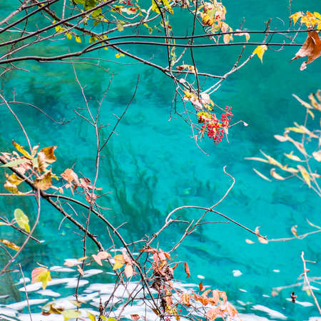 Jiuzhaigou, the China National Park, in autumn.の写真素材