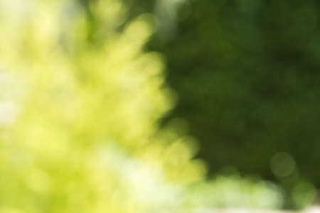 Abstract green bokeh background.の写真素材
