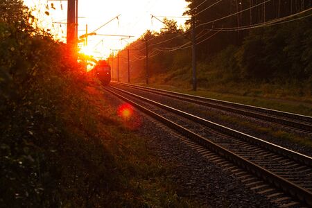 the train rushes by rail through a beautiful morning forest illuminated by the orange rising sun. landscapeの写真素材